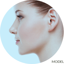 nose